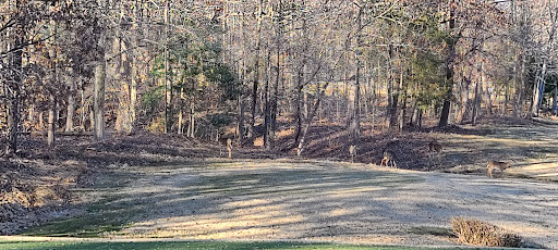 Golf Course «Pohick Bay Golf Course», reviews and photos, 10301 Gunston Road, Lorton, VA 22079, USA