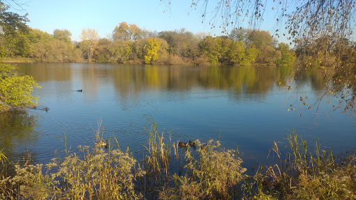 Museum «Peggy Notebaert Nature Museum», reviews and photos, 2430 N Cannon Dr, Chicago, IL 60614, USA