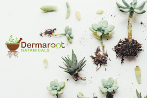Dermaroot Natanicals image