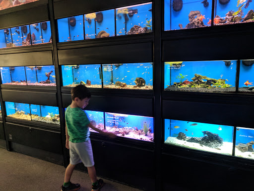 Aquarium «Aquarium Odyssey», reviews and photos, 73950 CA-111, Palm Desert, CA 92260, USA
