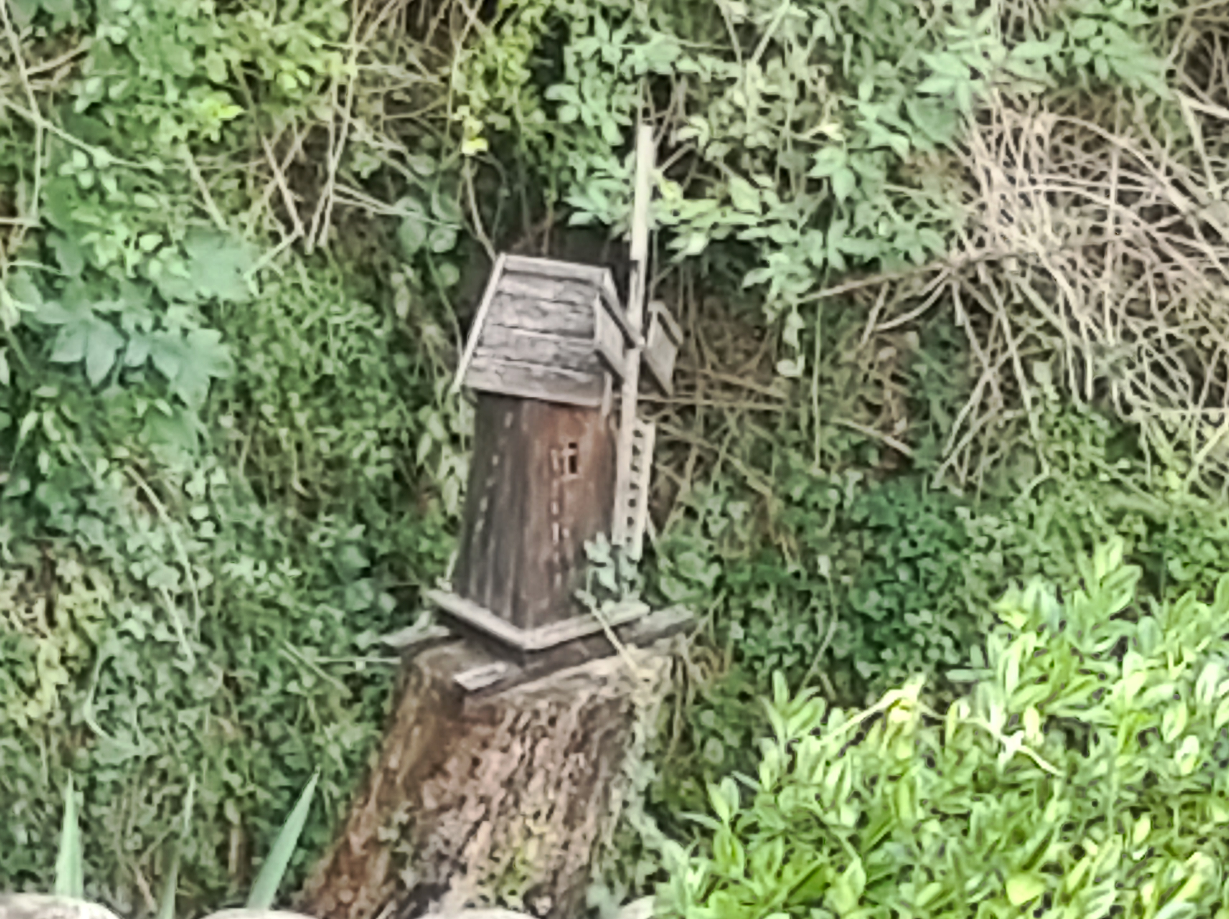 Photo n° 8 de l'avis de Thierry.o fait le 14/09/2020 à 15:27