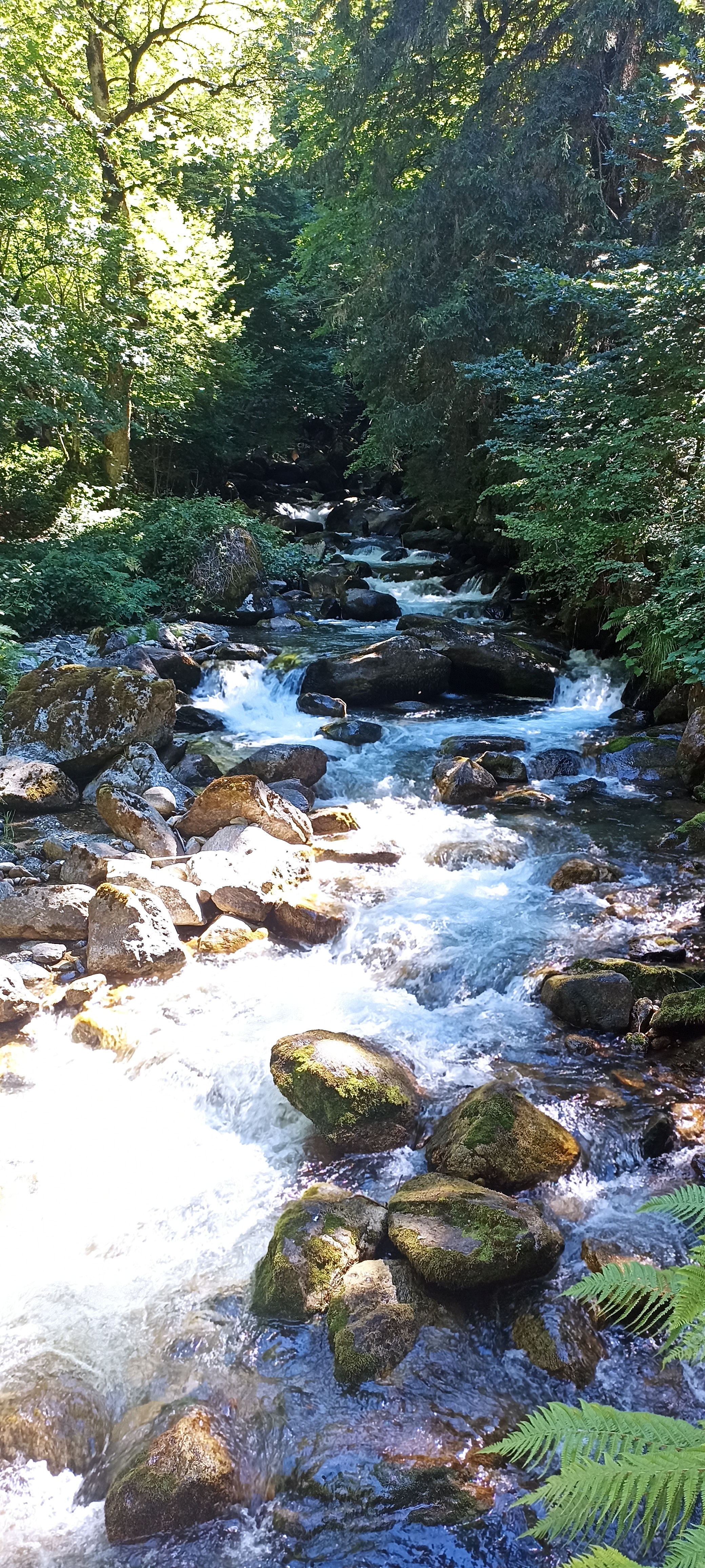 Photo n° 4 de l'avis de Corinne.l fait le 09/07/2022 à 19:05