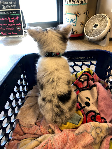 Pet Supply Store «PetSmart», reviews and photos, 637 Woodbury Glassboro Rd, Sewell, NJ 08080, USA