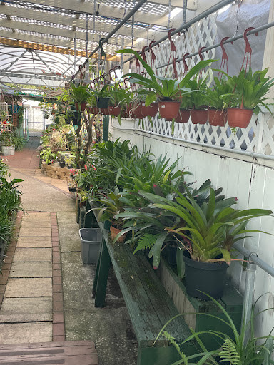 Florist «Thai-Rific Orchids Inc», reviews and photos, 5313 Gulfport Blvd S, Gulfport, FL 33707, USA