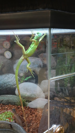 Pet Supply Store «Petco Animal Supplies», reviews and photos, 645 S Green Valley Pkwy, Henderson, NV 89052, USA