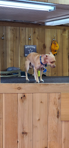 Pawn Shop «24 Hour Pawn Inc», reviews and photos, 407 W Jefferson Blvd, Dallas, TX 75208, USA