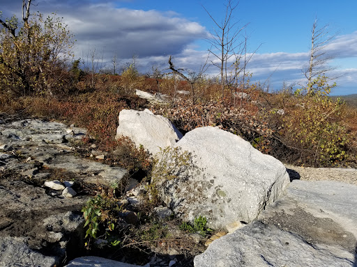 Tourist Attraction «Ice Caves», reviews and photos, Sams Point Rd, Pine Bush, NY 12566, USA