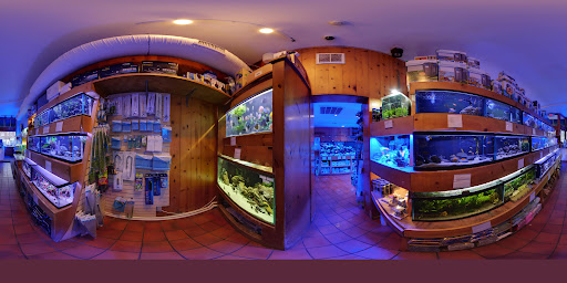 Tropical Fish Store «House of Fins», reviews and photos, 99 Bruce Park Ave, Greenwich, CT 06830, USA
