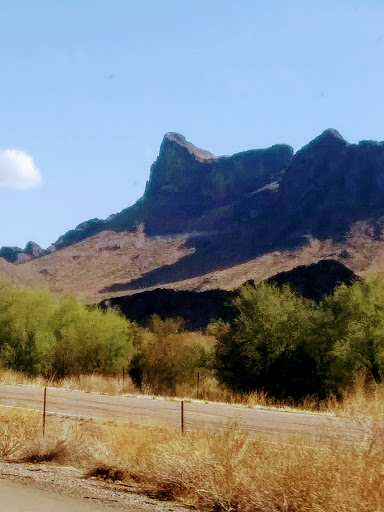 Tourist Attraction «Arizona Museum of Natural History», reviews and photos, 53 N Macdonald, Mesa, AZ 85201, USA