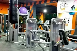 Mcllo Gym image