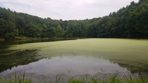 Park «Winding Hills Park», reviews and photos, 2 Old Rte 17K, Montgomery, NY 12549, USA