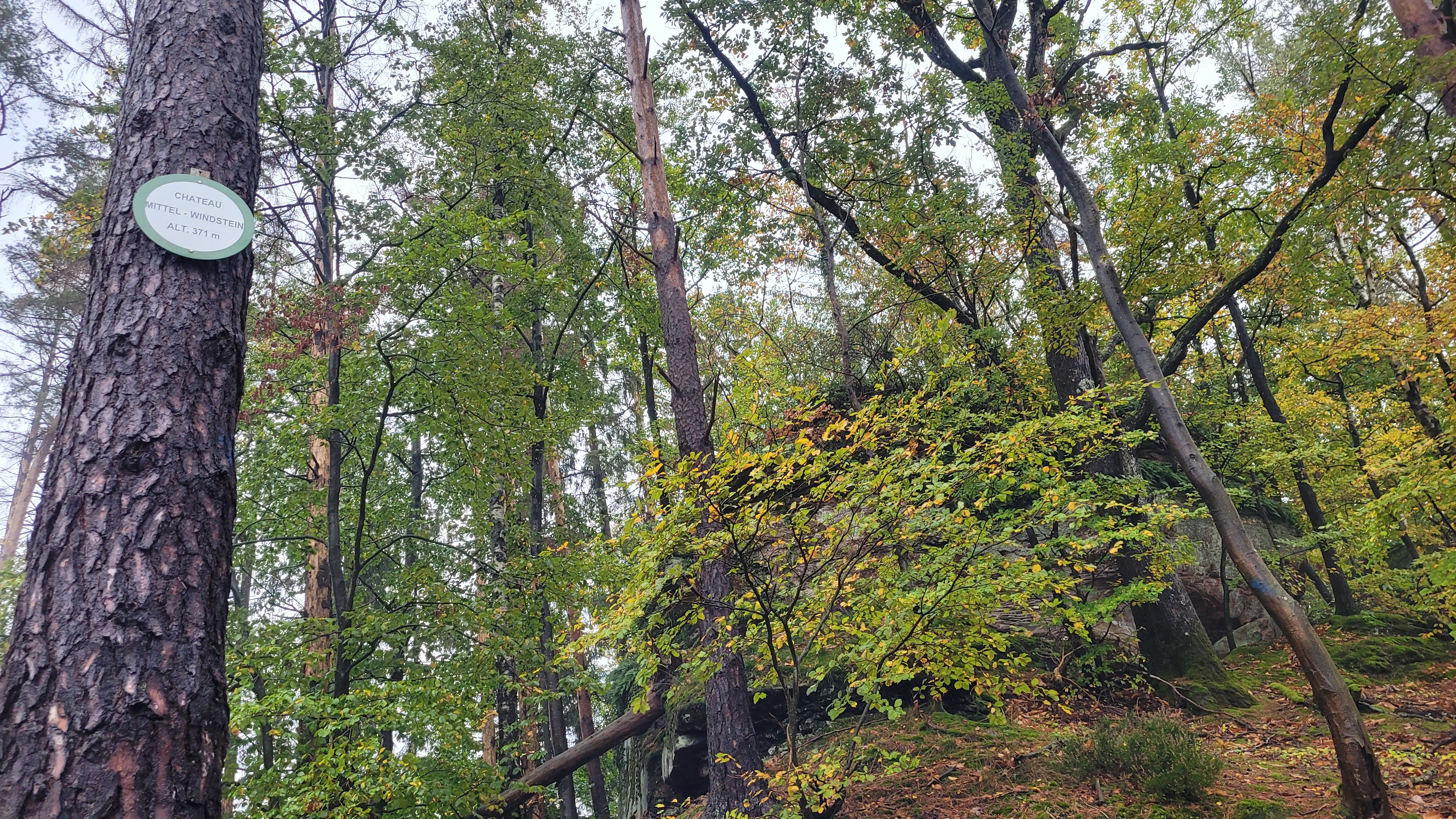 Photo n° 11 de l'avis de Verena.a fait le 31/10/2023 à 09:34