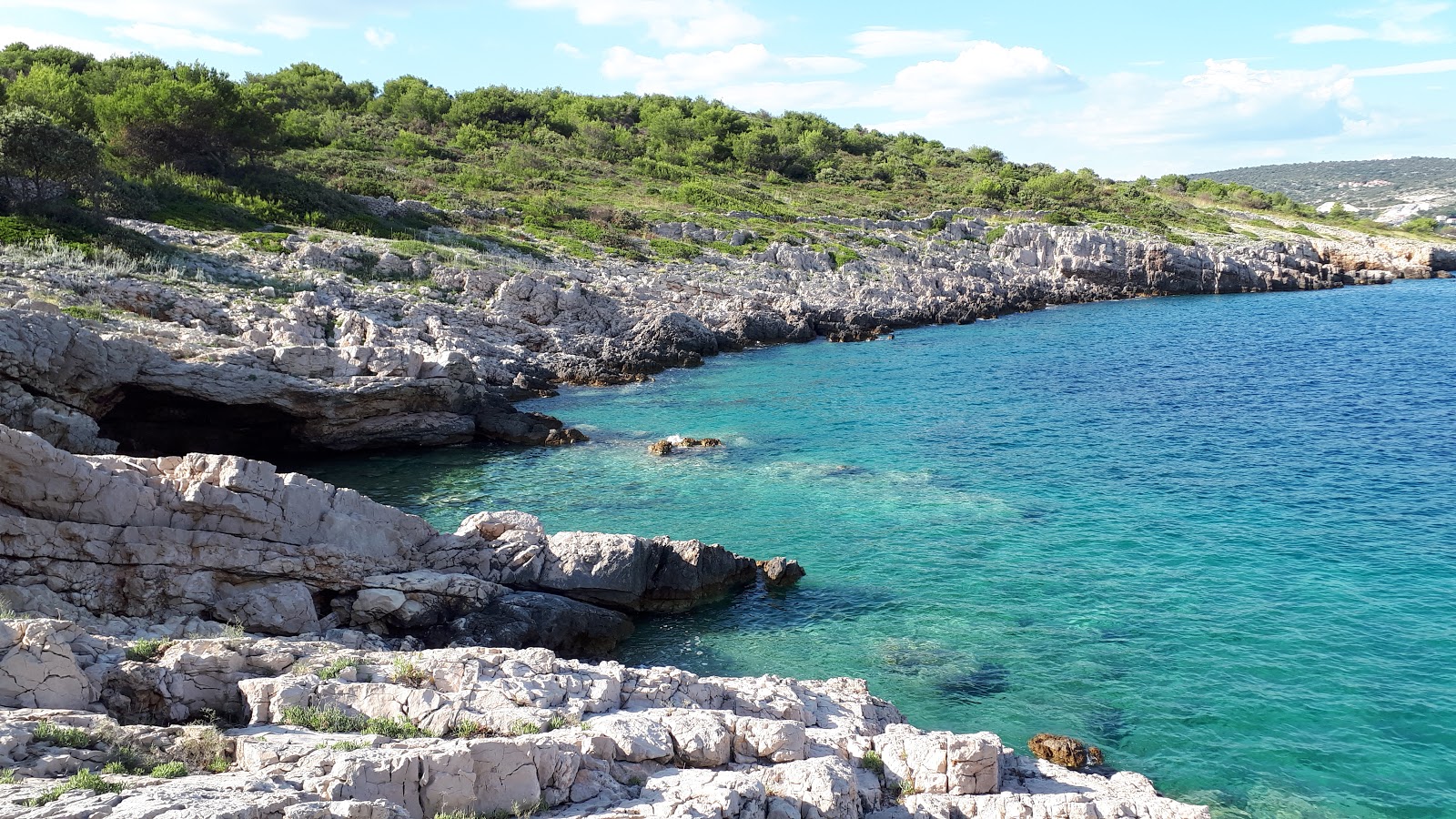 Zdjęcie Zaline Beach położony w naturalnym obszarze