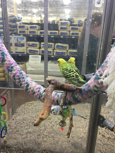 Pet Supply Store «Monster Pets», reviews and photos, 130 Black Horse Pike # 502, Audubon, NJ 08106, USA