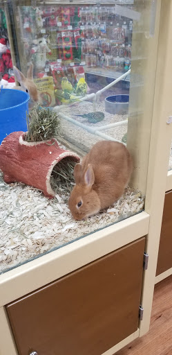 Pet Supply Store «Pet Supermarket, Inc.», reviews and photos, 18445 US-41, Lutz, FL 33549, USA