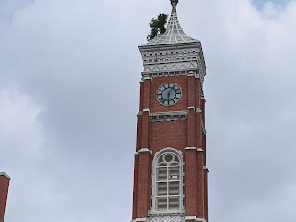 The Tower Tree