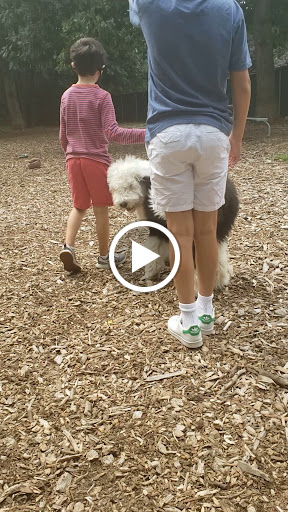 Park «Medway Dog Park», reviews and photos, 298 Village St, Medway, MA 02053, USA