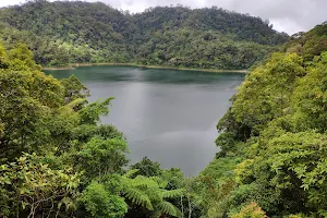 Balinsasayao Twin Lakes Natural Park image