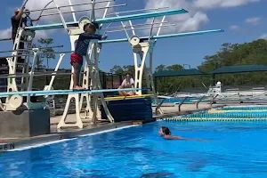 Amplitude Academy of Diving image