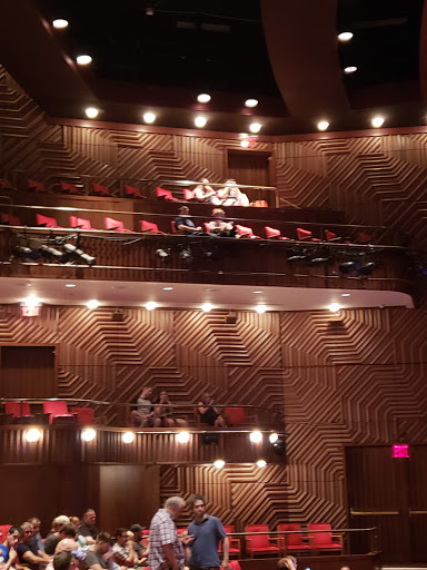 Performing Arts Theater «Skirball Center for the Performing Arts», reviews and photos, 566 LaGuardia Pl, New York, NY 10012, USA