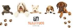 Beauty Dog Hundepflege Neu Wulmstorf