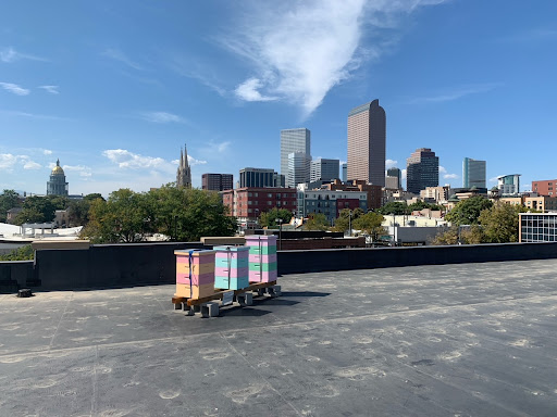 Wine Store «Argonaut Wine & Liquor», reviews and photos, 760 E Colfax Ave, Denver, CO 80203, USA