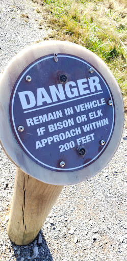 Nature Preserve «Elk and Bison Prairie», reviews and photos, Elk & Bison Prairie Rd, Golden Pond, KY 42211, USA