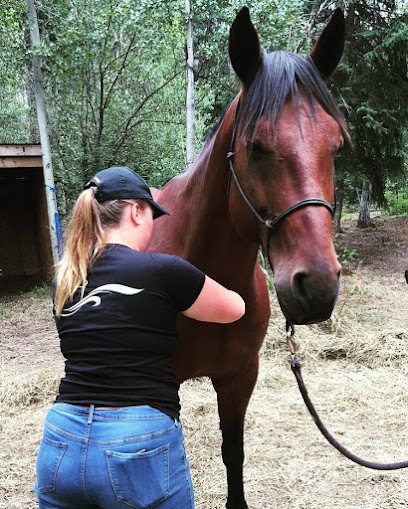 Free Movement Equine Therapy