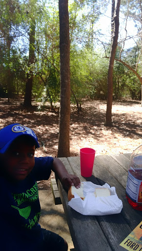 Park «Cy-Champ Park», reviews and photos, 14619 Cutten Rd, Houston, TX 77070, USA