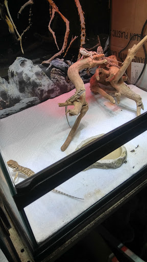 Pet Supply Store «Pet Bazaar», reviews and photos, 490 FL-436, Casselberry, FL 32707, USA