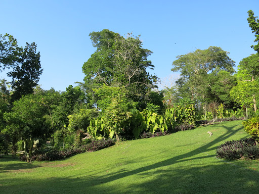 Cartagena Botanical Garden 