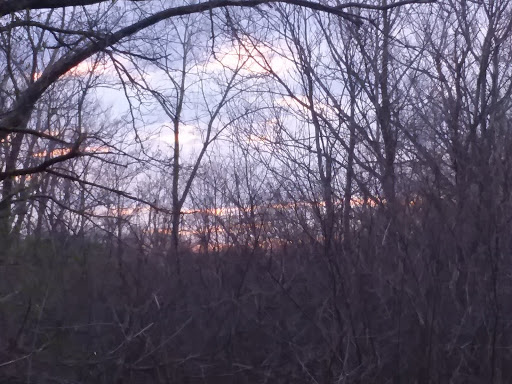 Nature Preserve «Reinstein Woods Nature Preserve», reviews and photos, 93 Honorine Dr, Depew, NY 14043, USA