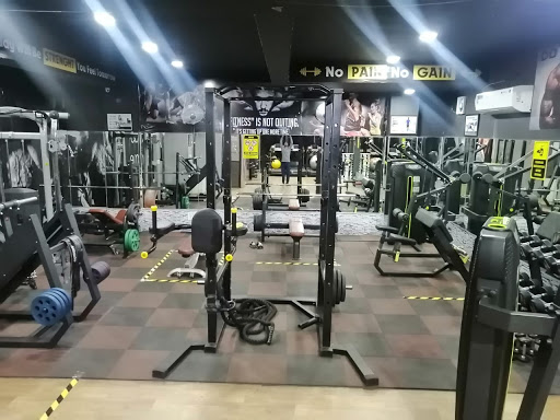 True Fitness Health Club-Aerobics, Gym, Cross Fitness, Personal Training, Gym Bani Park Jaipur