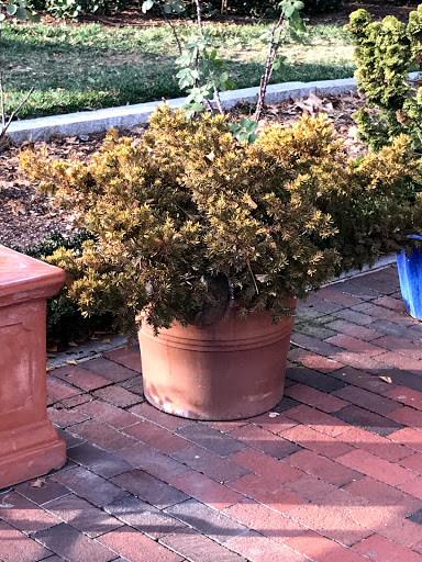 Museum «Smithsonian Castle», reviews and photos, 1000 Jefferson Dr SW, Washington, DC 20560, USA