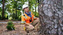 Bartlett Tree Experts - Photo 3 - Car repair in Jefferson, LA, Metairie