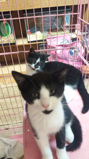 Pet Supply Store «Animal House Grooming & Quality», reviews and photos, 229 W Absecon Blvd, Absecon, NJ 08201, USA