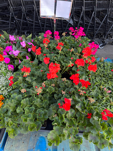 Grocery Store «Food Giant», reviews and photos, 940 S 12th St, Murray, KY 42071, USA