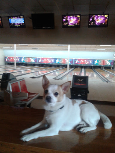 Bowling Alley «Oregon Trail Lanes», reviews and photos, 735 S Columbia River Hwy, St Helens, OR 97051, USA