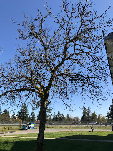 Army Museum «Lewis Army Museum», reviews and photos, 4320 Main St. and Constitution Dr, Joint Base Lewis-McChord, WA 98433, USA