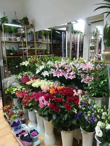 Online cvećara GARDEN SHOP - dostava cveća