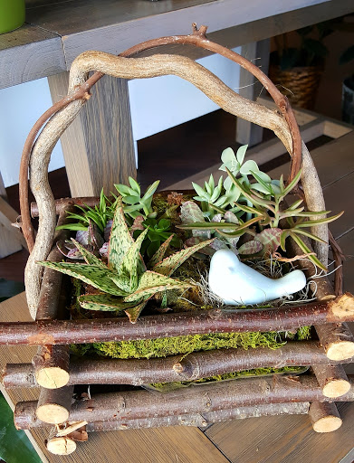 Florist «Midwood Flower Shop», reviews and photos, 2415 Central Ave, Charlotte, NC 28205, USA