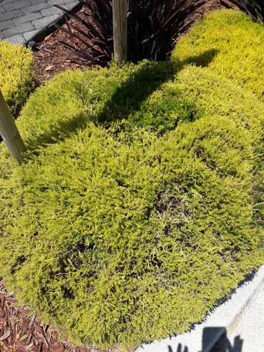 Car Wash «Classic Car Wash», reviews and photos, 5005 Almaden Expy, San Jose, CA 95118, USA