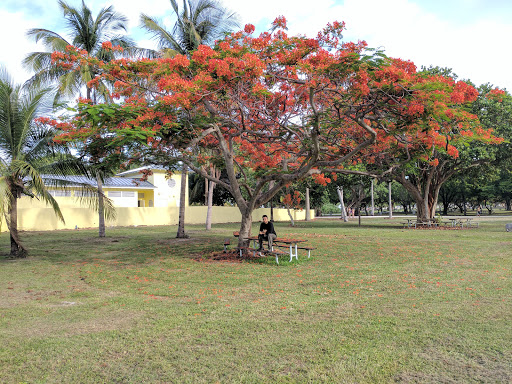 Park «Crandon Park», reviews and photos, 6747 Crandon Blvd, Key Biscayne, FL 33149, USA