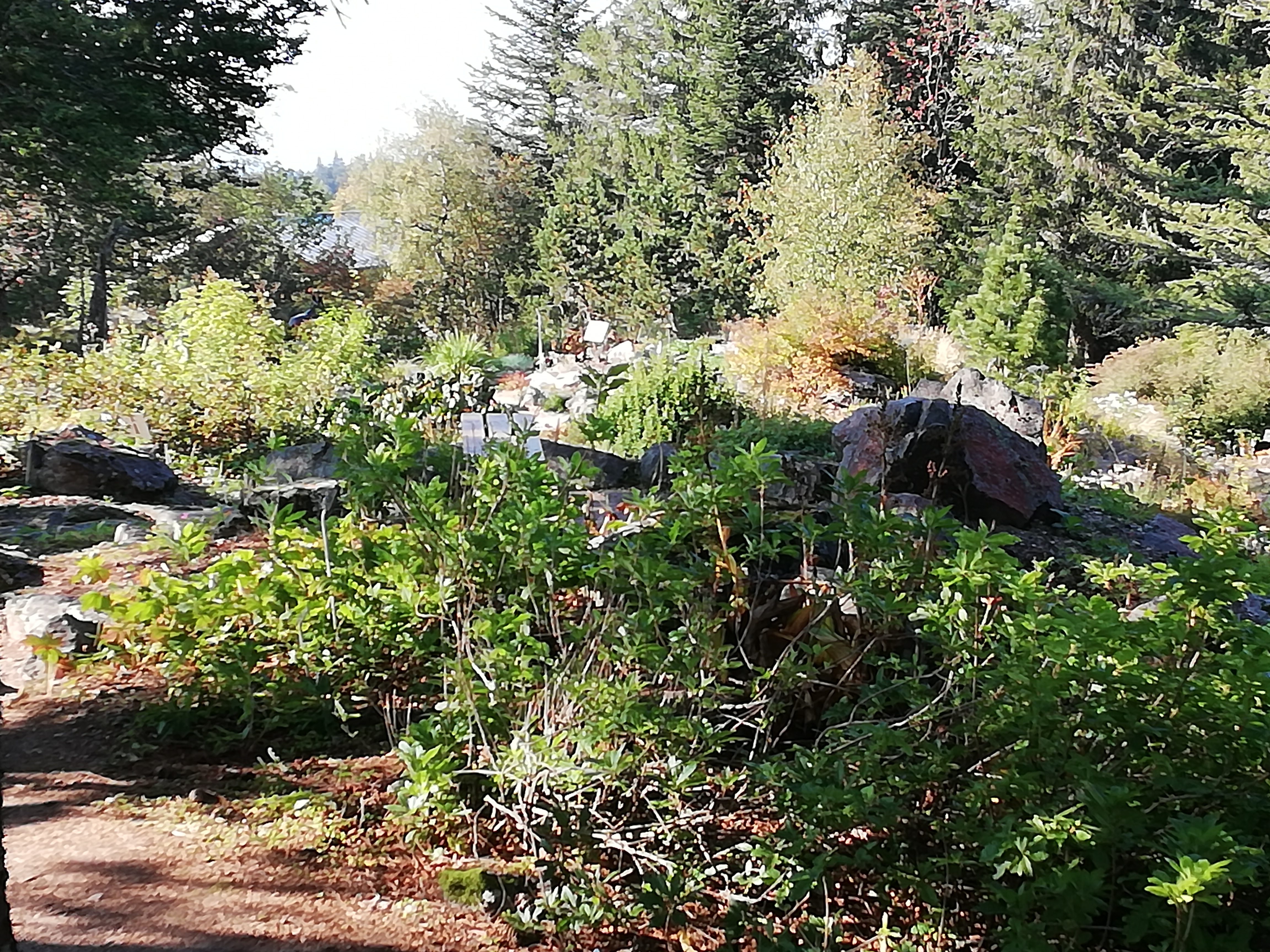 Photo n° 2 de l'avis de Murielle.a fait le 13/09/2020 à 17:23