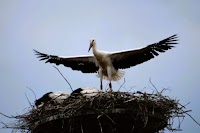 雲南市大東地域交流センター