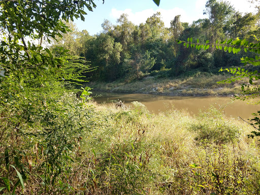 Nature Preserve «Frenchtown Rd Conservation Area», reviews and photos, 17819 Frenchtown Rd, Central, LA 70739, USA