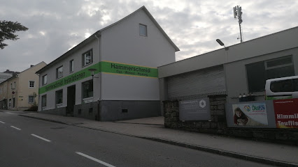 Hammerschmid GmbH Installationen