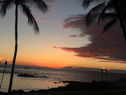 Travel Agency «Hawaiian Travel», reviews and photos, 5005 W Royal Ln #294, Irving, TX 75063, USA