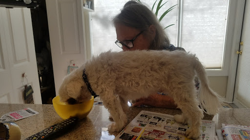 Thrift Store «Goodwill of North Georgia: West Athens Store, Career Center and Donation Center», reviews and photos