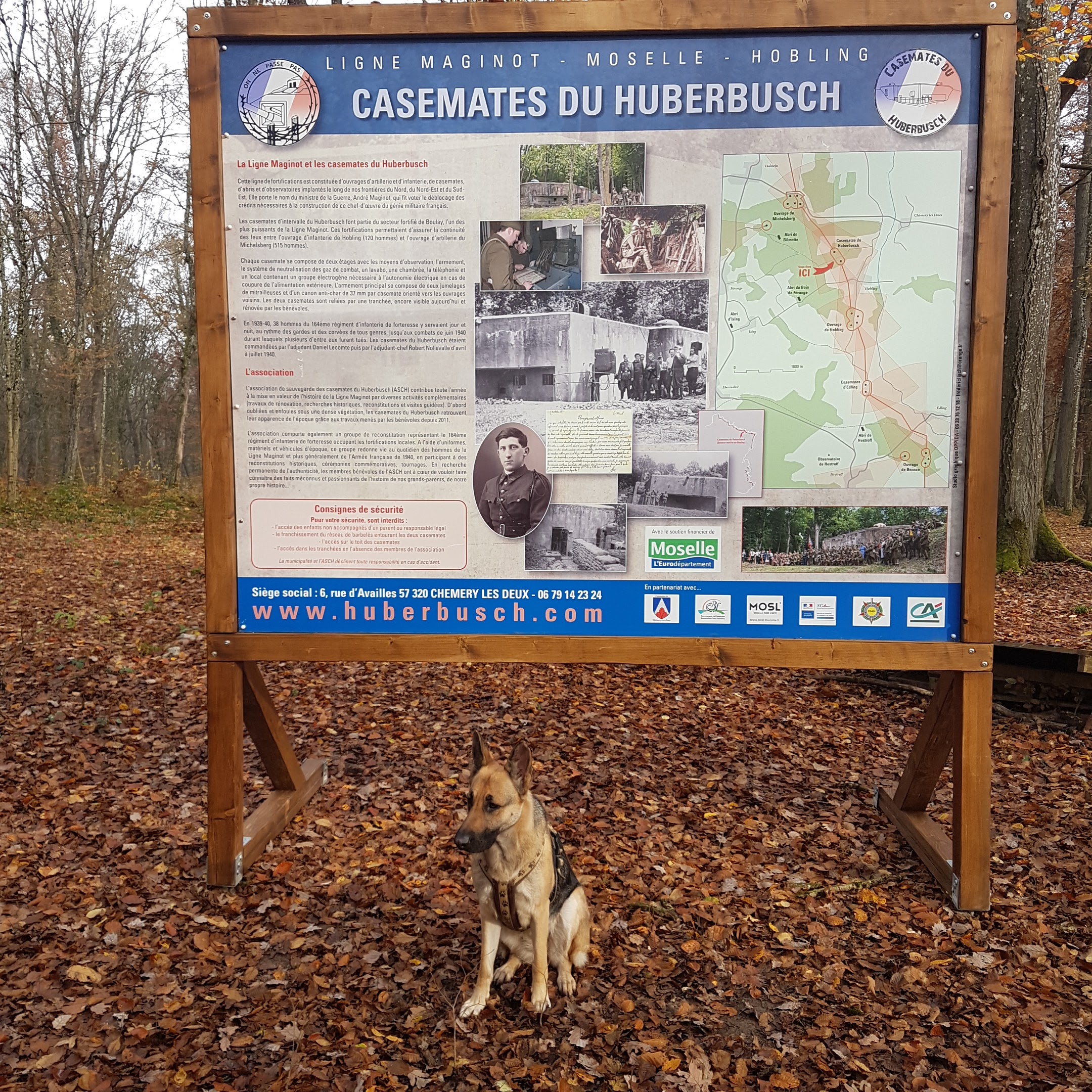 Photo n° 2 de l'avis de Carlo.e fait le 10/11/2021 à 12:22